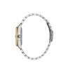 Bicolor