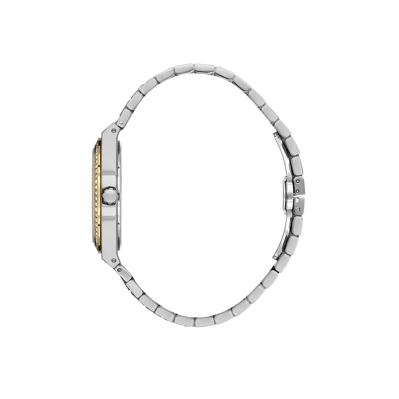 bicolor